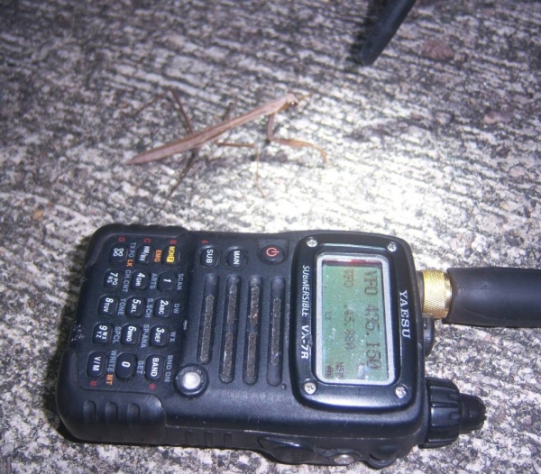 0002-0036.jpg