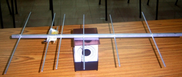 00008-ant-0018.jpg