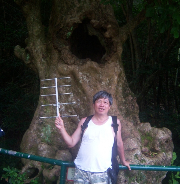 =0-0010   0 空心樹.jpg