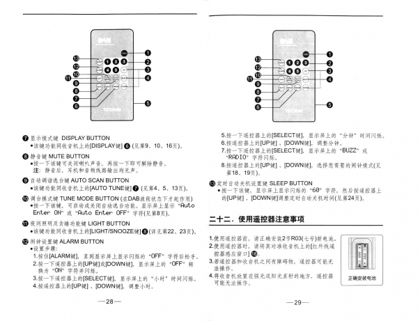 P28-29.jpg
