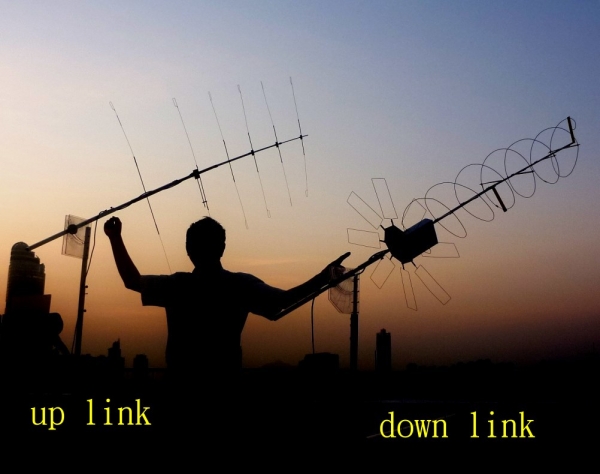 0   AO 51-0000-2010-11-26.jpg