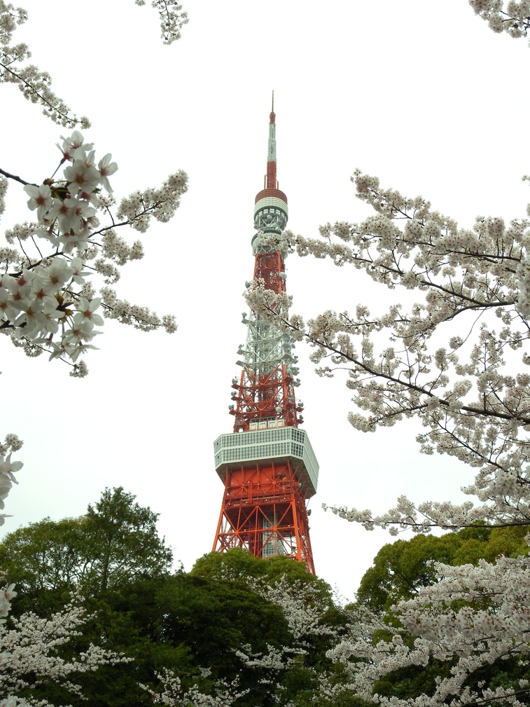 Tokyo_Tower.jpg