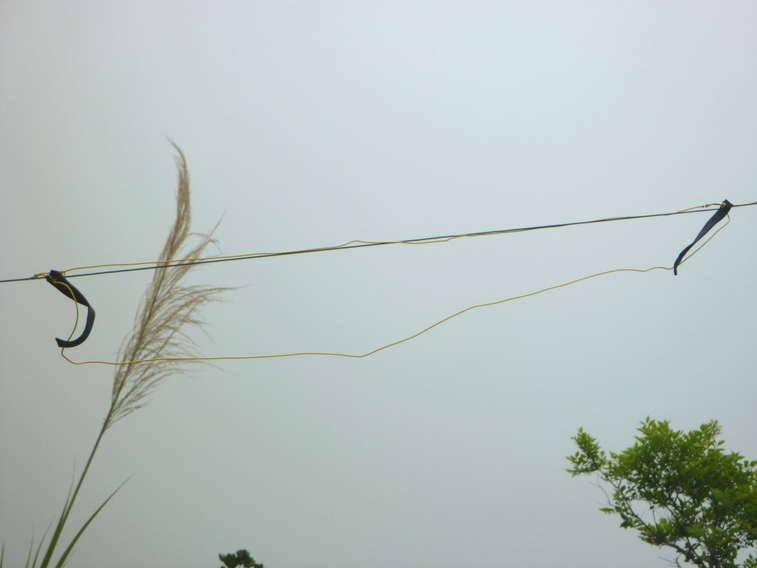 001-0034  倒v,.jpg