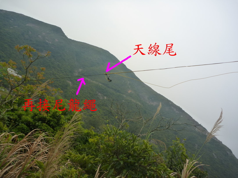 001-0034  倒v,,,.jpg