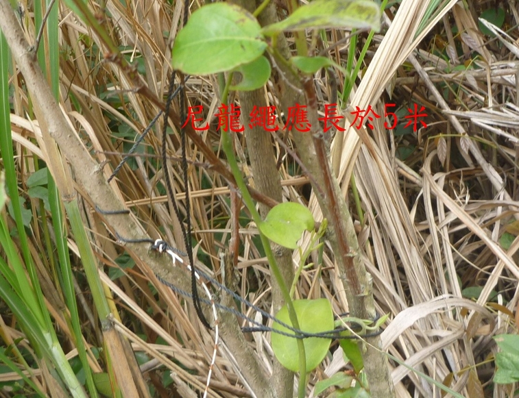 001-0034  倒v,,,,.jpg