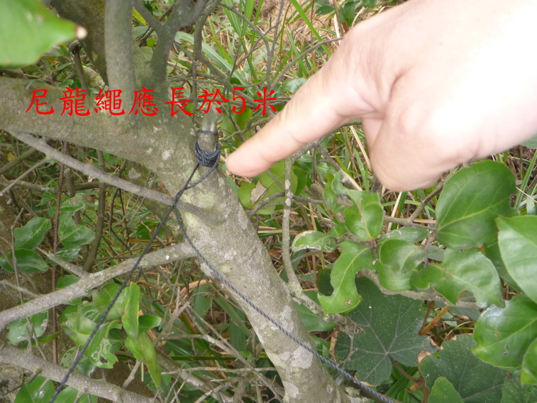 001-0034  倒v,,,,,.jpg