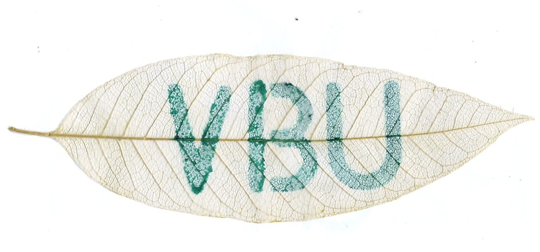 0026 VBU.jpg