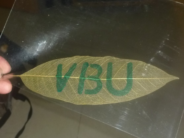 0028 VBU.jpg