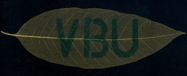 0030 VBU.jpg