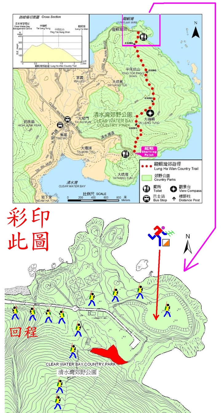0010-0004.jpg