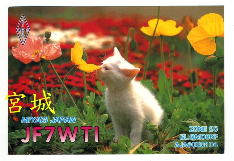 0042 JF7.jpg