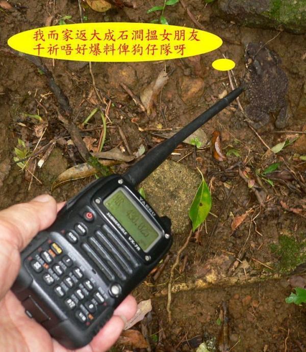 大城石澗