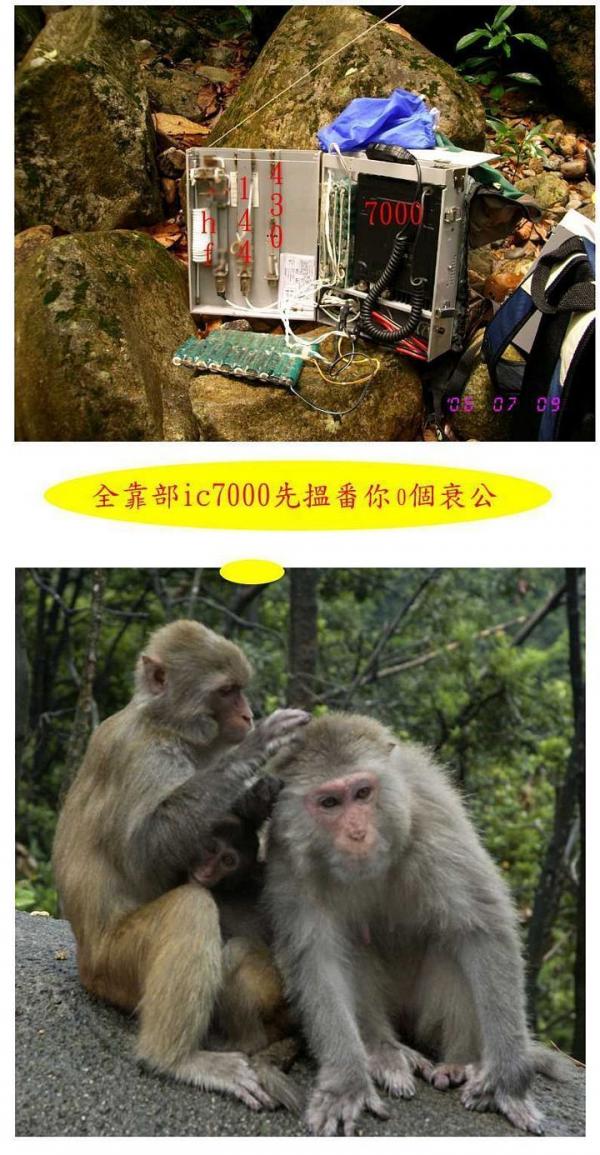 沙羅洞