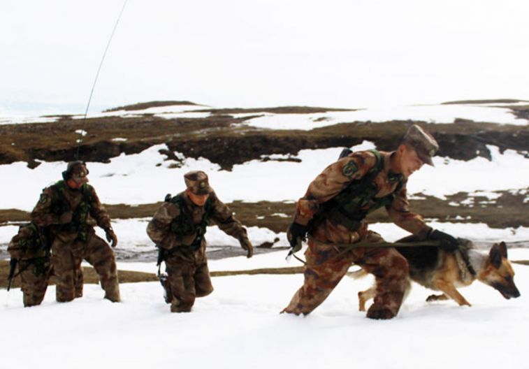 0  000-0 1    巡.jpg