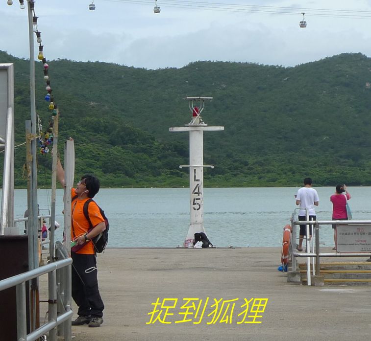 01-050 捉到狐狸.jpg
