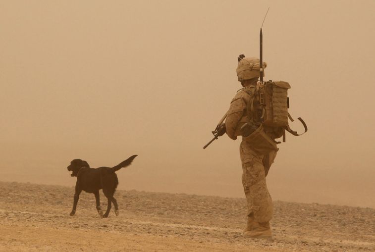 0  000-0 0     巡32.jpg