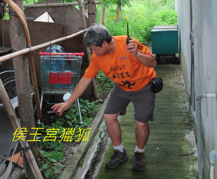 01-094 侯王宮獵狐--.jpg