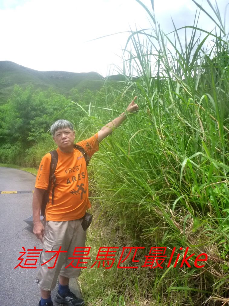 02-088 這才是馬匹最like.jpg