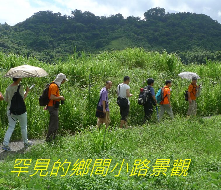02-016罕見的鄉間小路景觀.jpg