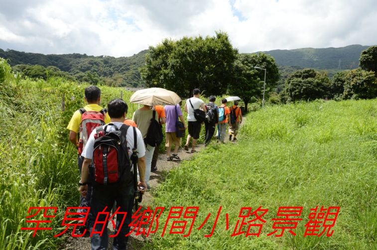 02-016罕見的鄉間小路景觀-.jpg