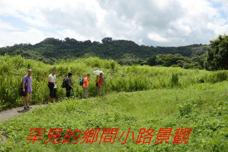 02-016罕見的鄉間小路景觀--.jpg