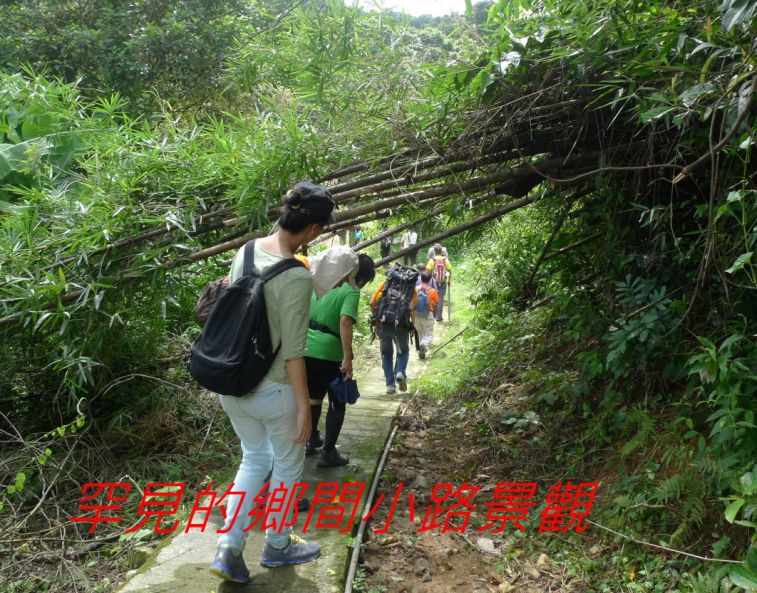 02-016罕見的鄉間小路景觀---.jpg