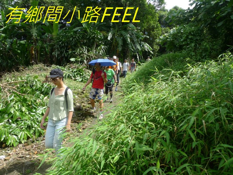 02-020 有鄉間小路FEEL-.jpg