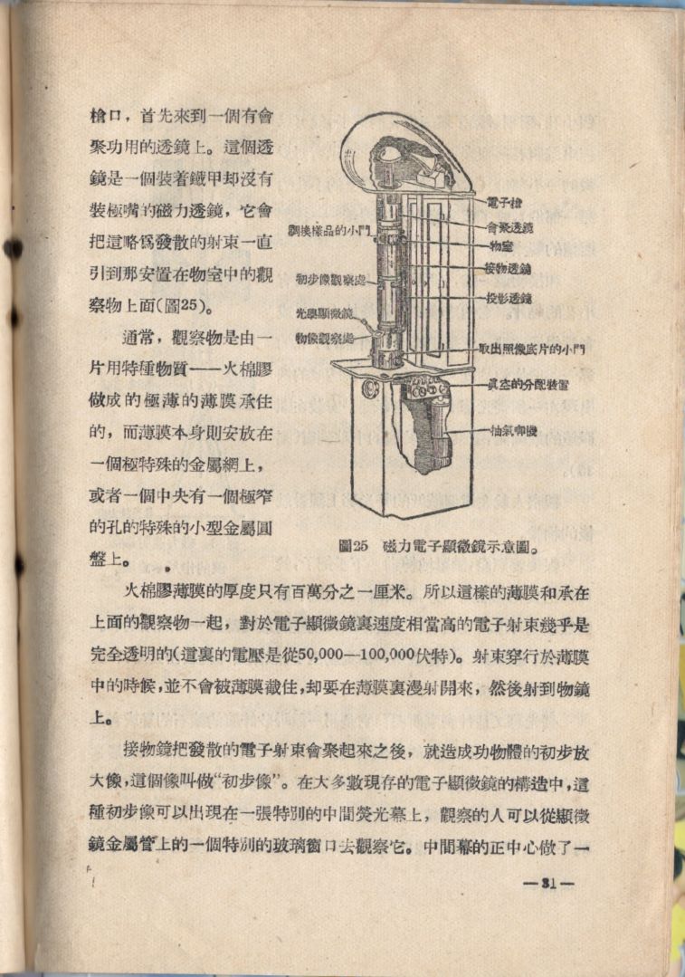 電子顯微鏡31.JPG