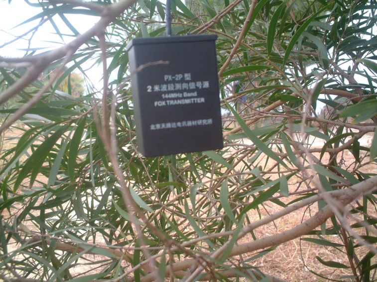 DSCF0029.JPG