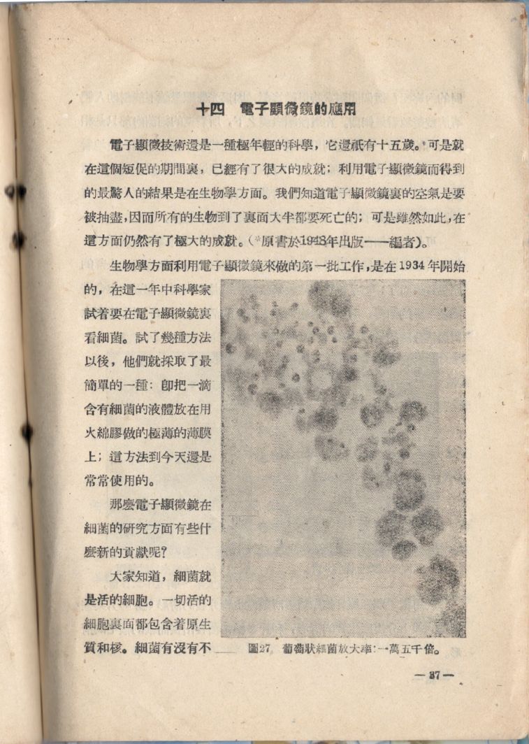 電子顯微鏡37.JPG