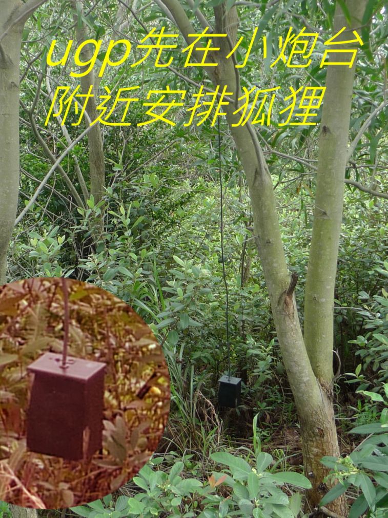 01-030 ugp先在小炮台-.jpg