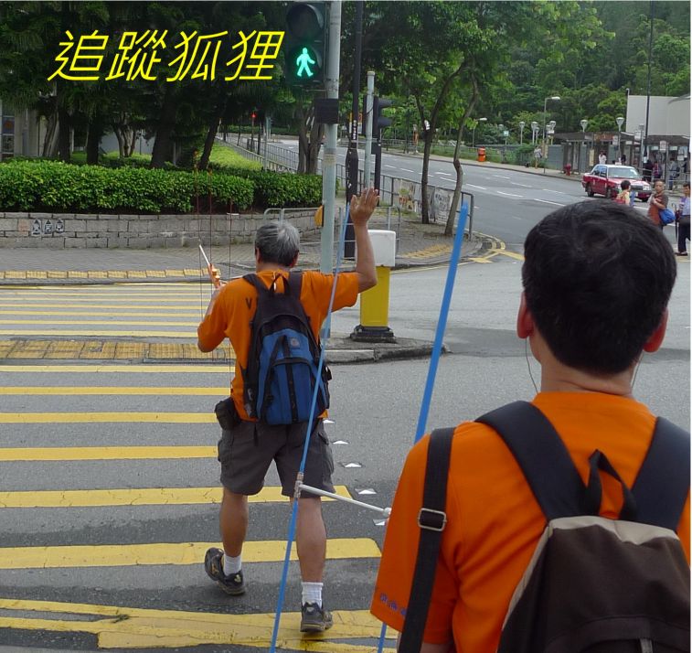 01-034 追蹤狐狸--.jpg