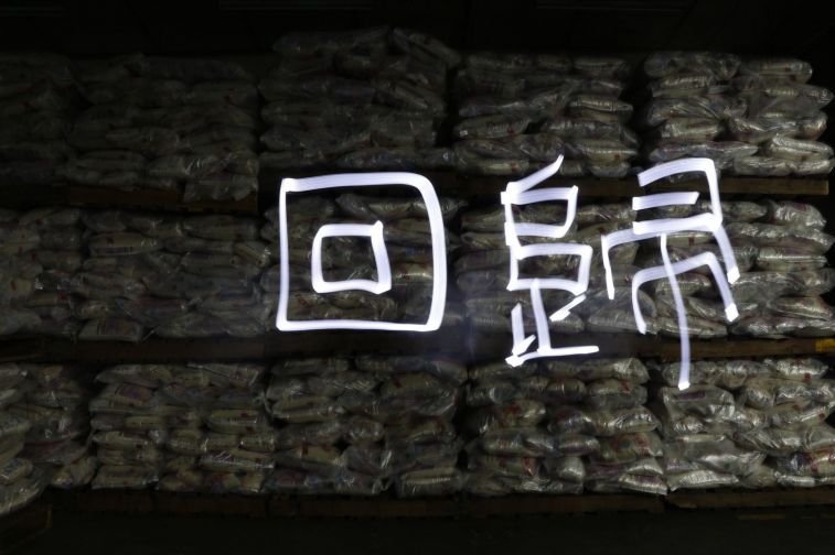 回歸.jpg