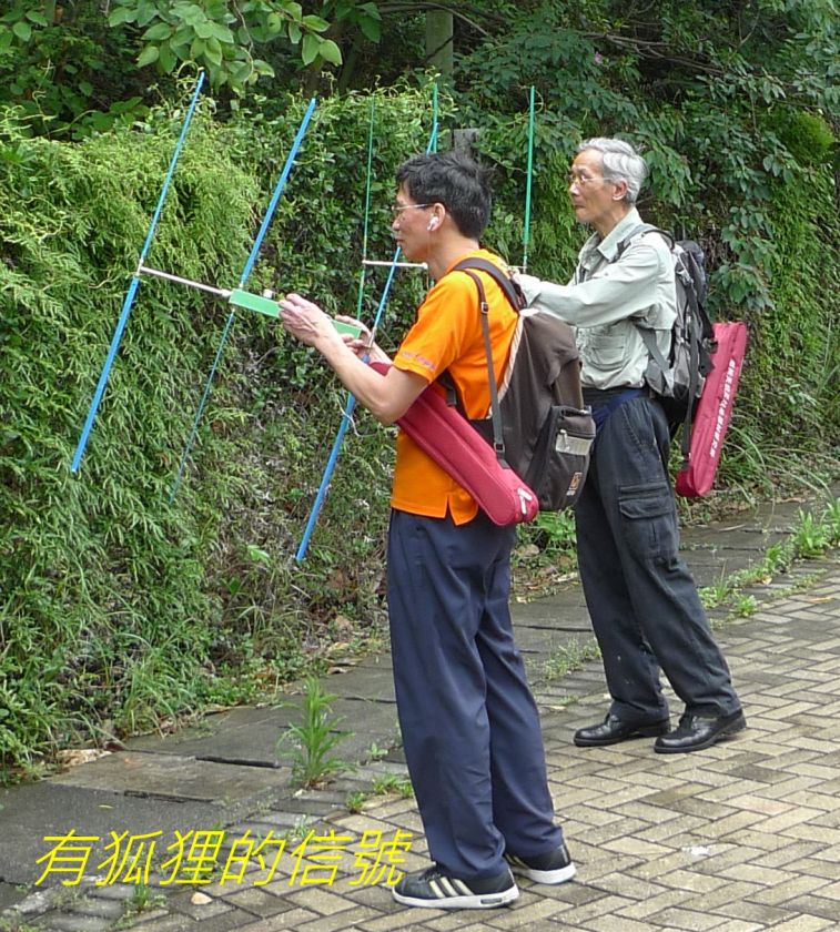 01-036 有狐狸的信號-.jpg