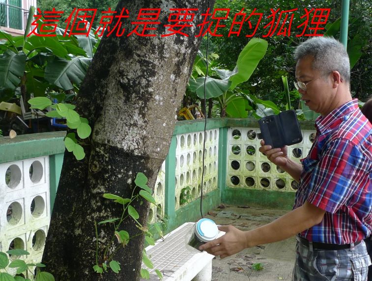 0 028 這個就是耍捉的狐狸--.jpg