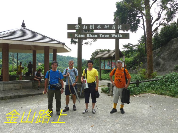 0-122 金山路上---.jpg