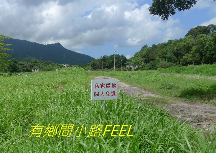 02-020 有鄉間小路FEEL---.jpg