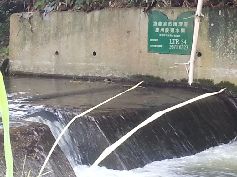途中經過的農用陂頭水閘