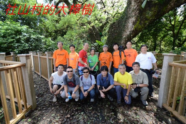 02-024  社山村的大樟樹.jpg
