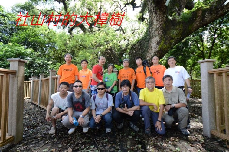 02-024  社山村的大樟樹-.jpg