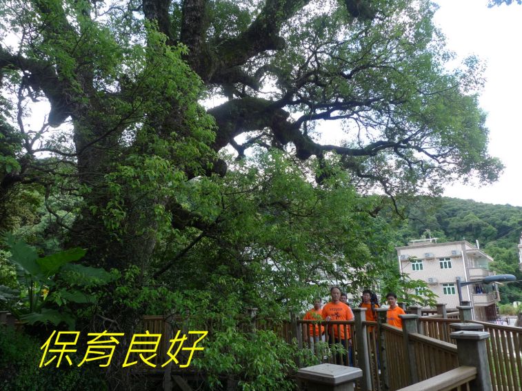 02-026 保育良好.jpg