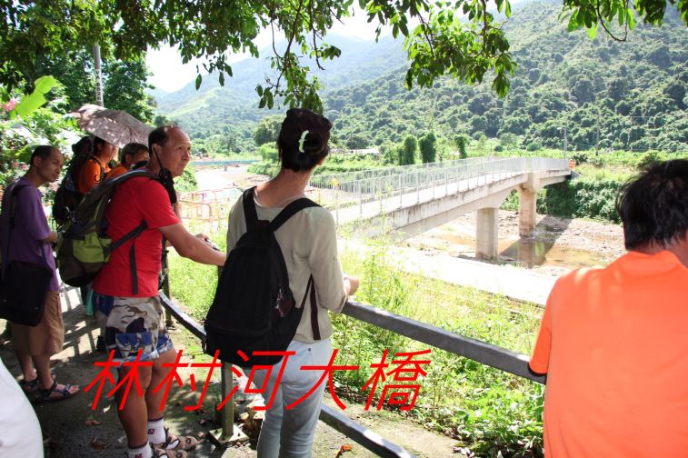 02-050 保育得最好的大河-.jpg