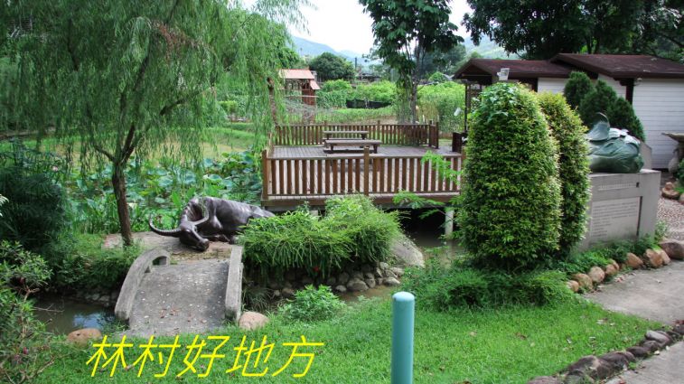 02-053 林村好地方--.jpg