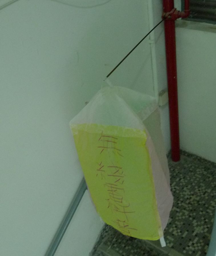 030.jpg