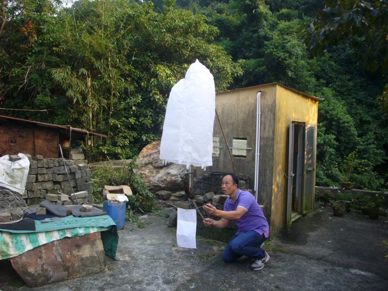 P1110063.JPG