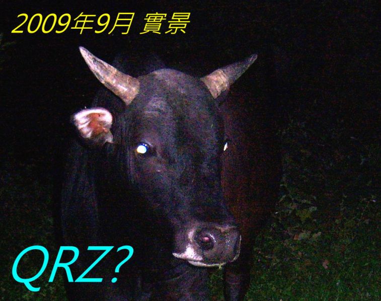 026-.jpg