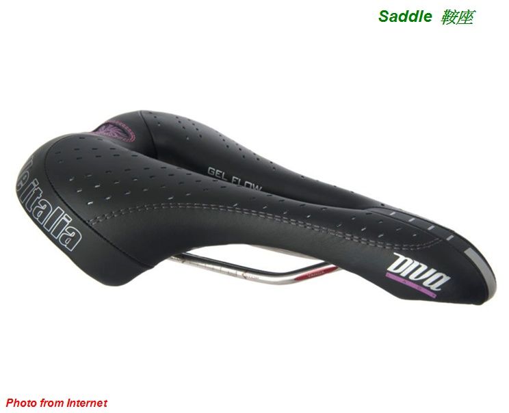 Saddle.jpg