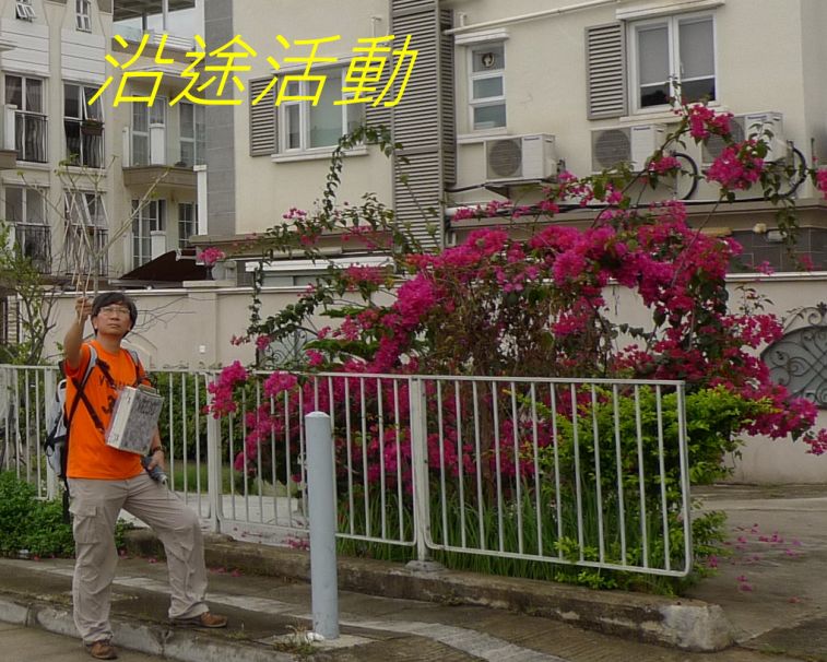 03-050 沿途活動.jpg
