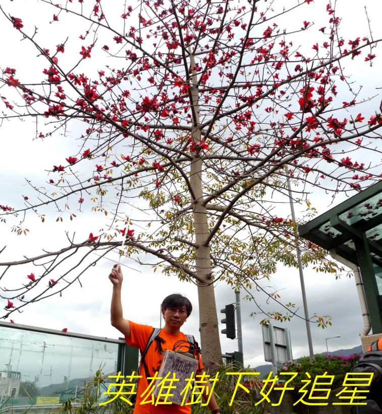 03-052 英雄樹下好追星.jpg
