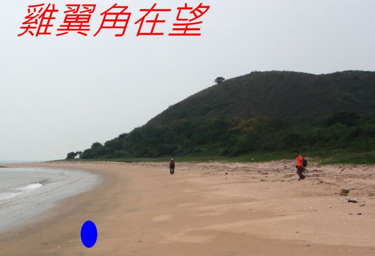 02-051 雞翼角在望-.jpg